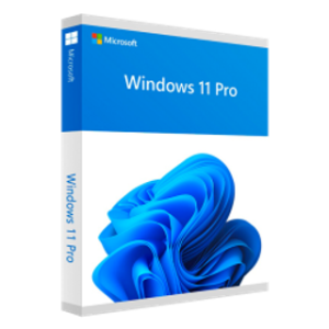 Microsoft Windows 11 Pro Professional